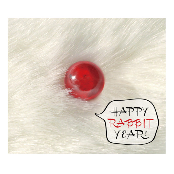 NEW YEAR CARD 2011 <photo&design>